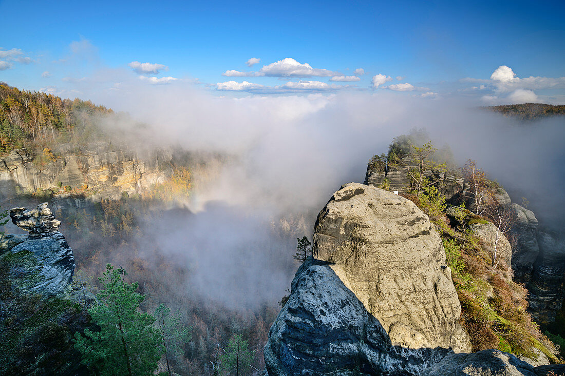 Nebelstimmung mit Felstürmen, Großer Winterberg, Elbsandsteingebirge, Nationalpark Sächsische Schweiz, Sächsische Schweiz, Sachsen, Deutschland