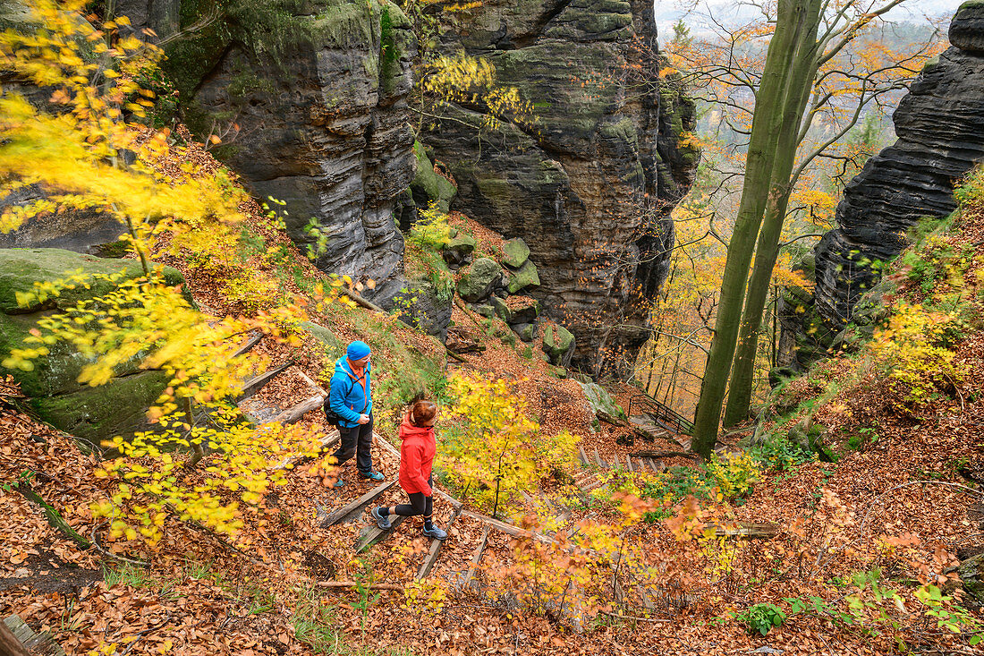 Mann und Frau wandern durch Herbstwald im Elbsandsteingebirge, Brandaussicht, Elbsandsteingebirge, Nationalpark Sächsische Schweiz, Sächsische Schweiz, Sachsen, Deutschland