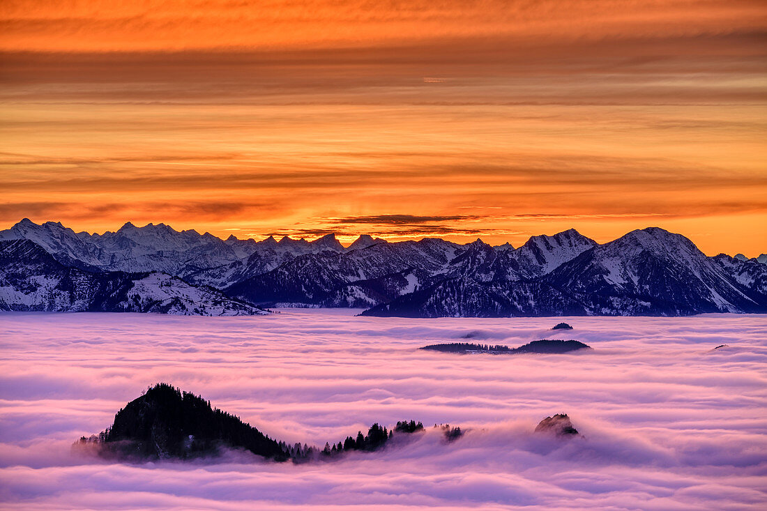 Summit of Heuberg rise out of fog, Bavarian Alps and Karwendel in the background, Hochries, Chiemgau Alps, Chiemgau, Upper Bavaria, Bavaria, Germany