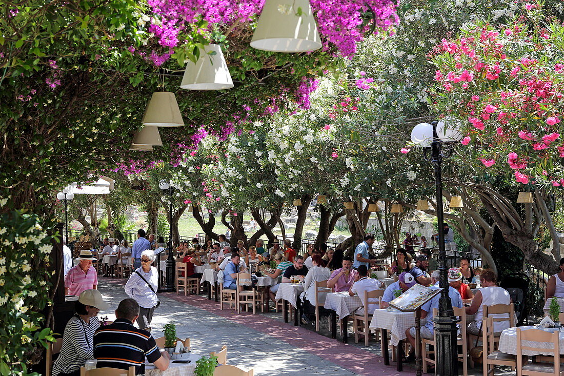 Tavernen unter blühendem Oleander und Bougainvillea-Büschen in der Nafklirou-Strasse, Stadt Kos, Kos, Dodekanes