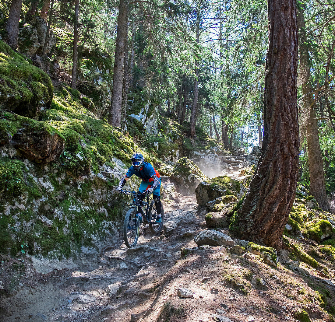 Mountain biking on the Roatbrunn Trail at the Tarscher Alm in the Vinschgau, Italy