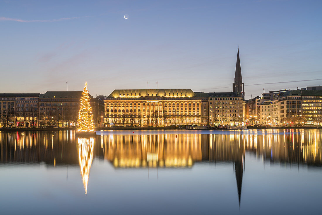 Weihnachtsbaum auf der Binnenalster, Altstadt, Freie Hansestadt Hamburg, Norddeutschland, Deutschland, Europa