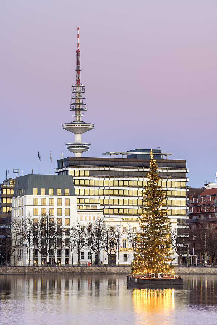 Christmas tree on the Inner Alster, Old Town, Free Hanseatic City of Hamburg, Northern Germany, Germany, Europe