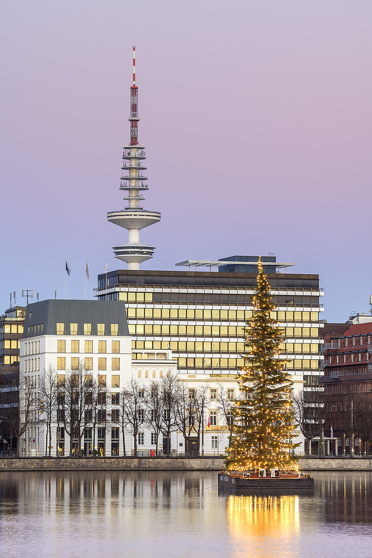 Weihnachtsbaum auf der Binnenalster, Altstadt, Freie Hansestadt Hamburg, Norddeutschland, Deutschland, Europa