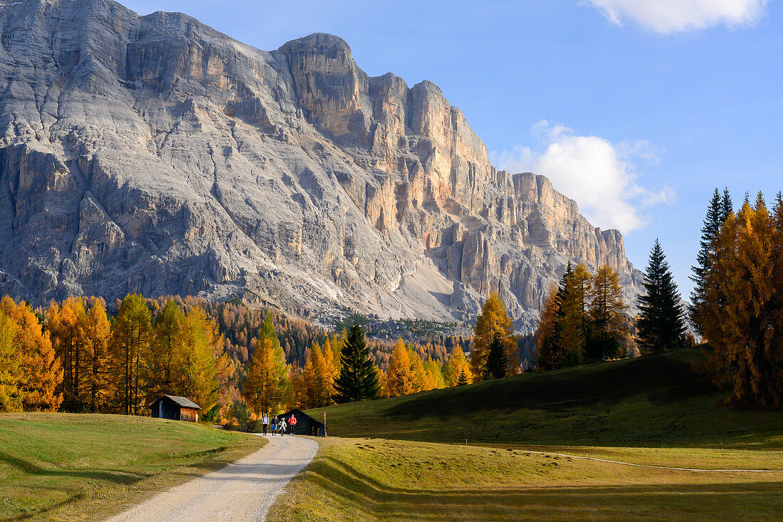 Die Armentara Wiesen unterm Kreuzkofel in den Südtiroler Dolomiten, UNESCO Weltnaturerbe, Gadertal, Italien