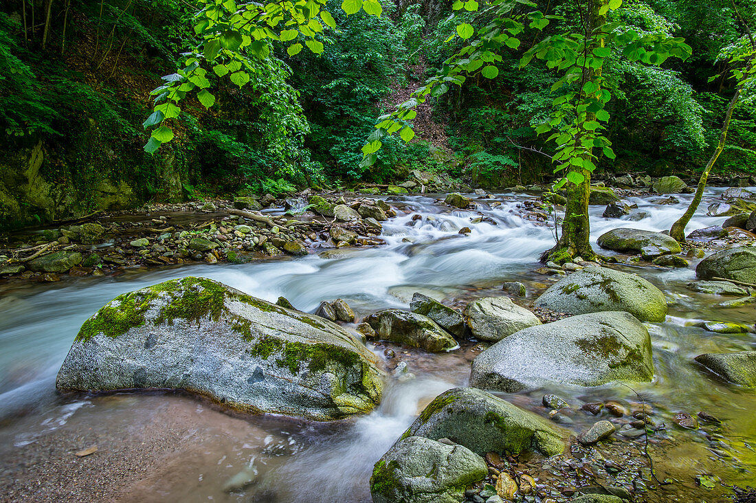 The Falscherschlucht, natural monument in Lana, South Tyrol, Italy