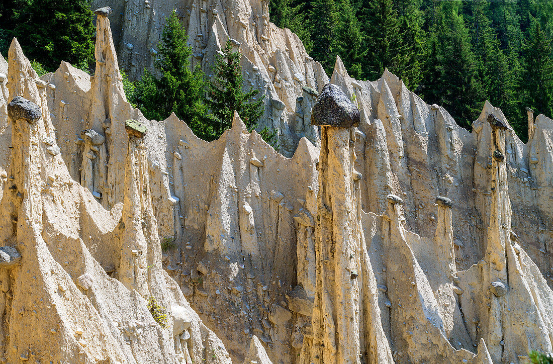 The earth pyramids, natural monument at Oberwielenbach, Percha, Puster Valley, South Tyrol, Italy
