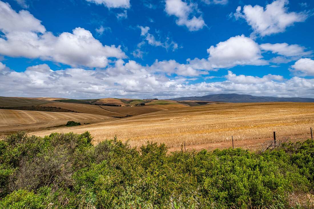 Landschaft bei Stanford, Garden Route, Südafrika, Afrika