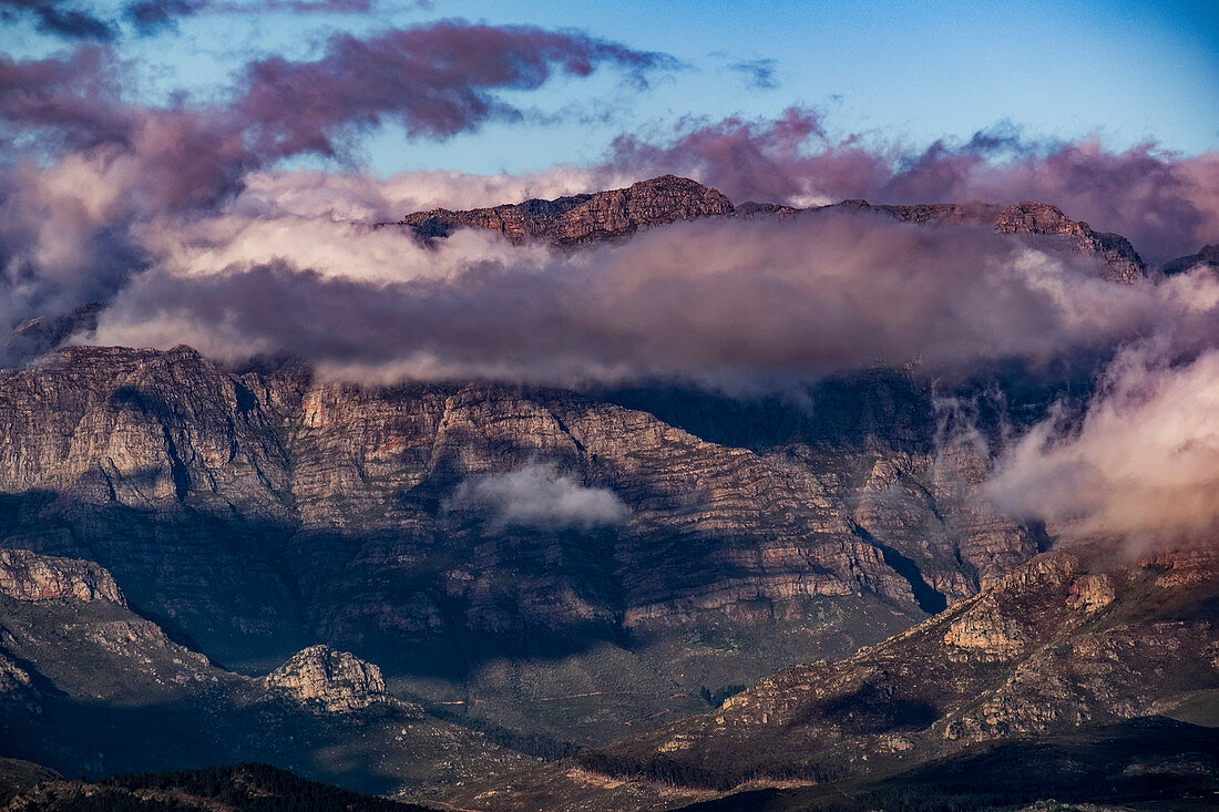 Jonkershoek Nature Reserve, Stellenbosch, Cape Winelands, South Africa, Africa