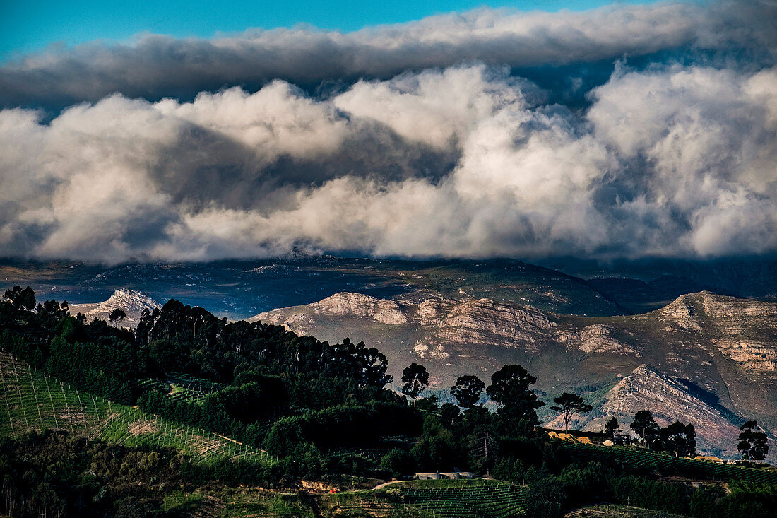 Jonkershoek Nature Reserve, Stellenbosch, Cape Winelands, South Africa, Africa