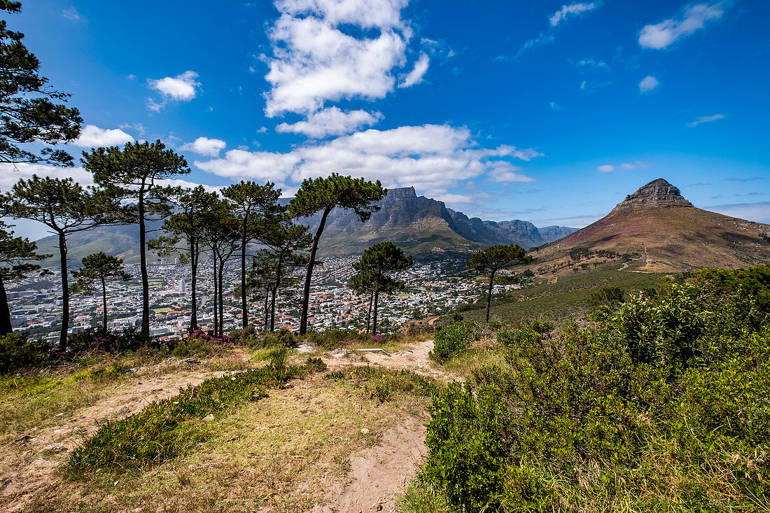 View from Signal Hill to Table Mountain and Lions Head in Cape Town, South Africa, Africa