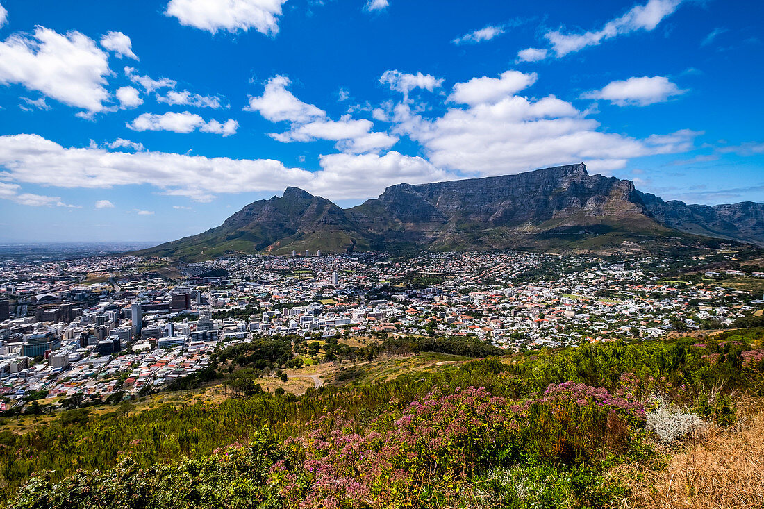 Blick vom Signal Hill auf Kapstadt, Südafrika, Afrika