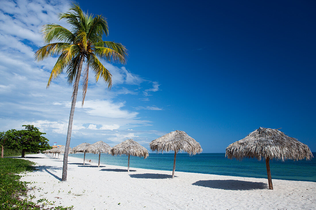 Sandstrand mit Palmen und Sonnenschirmen in der Karibik, Kuba