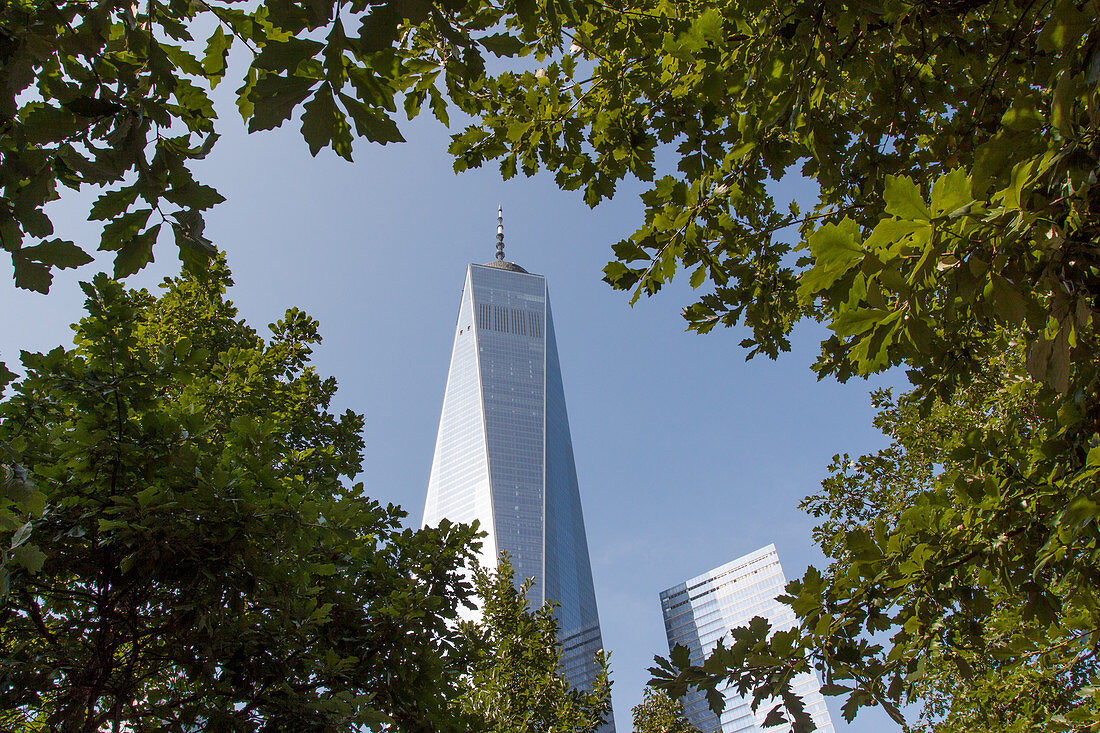 Blick auf einen Turm des One World Trade Center durch Bäume, der das Denkmal des 11. September 2001 ziert, Finanzbezirk, Manhattan, New York City, New York, Vereinigte Staaten, USA