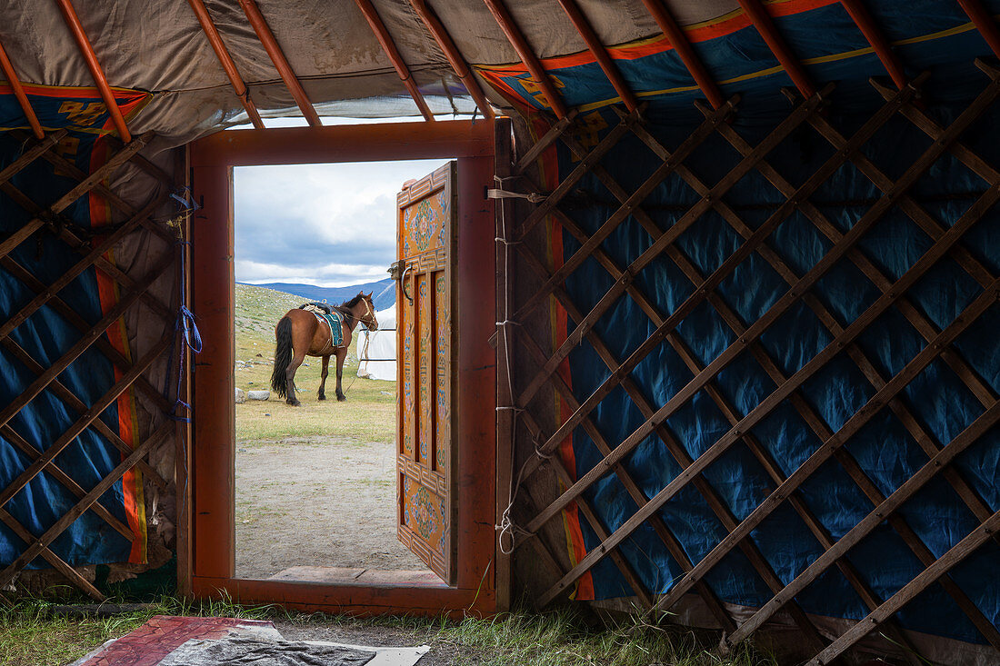 Blick durch die Tür einer traditionellen mongolischen Jurte auf ein Pferd, Provinz Bayan-Olgii, Mongolei