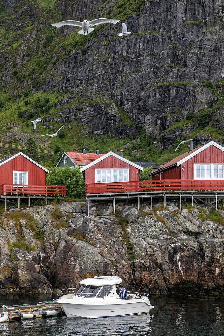 TRADITIONAL RED-PAINTED WOODEN HOUSES, THE NORWEGIAN FISHING VILLAGE MUSEUM (NORSK FISKEVAERSMUSEUM), LOFOTEN ISLANDS, NORWAY