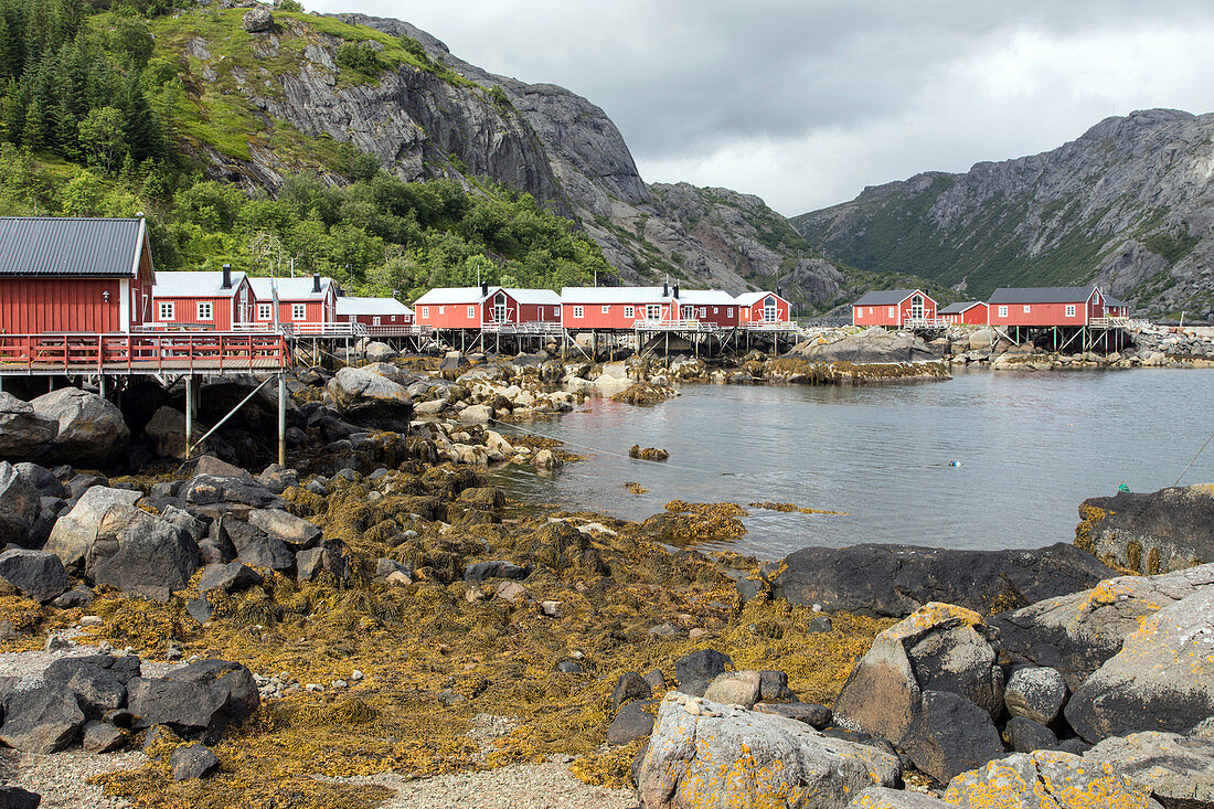 TRADITIONAL FISHERMEN'S HOUSES OF RED-PAINTED WOOD, NUSFJORD, VESTFJORD, LOFOTEN ISLANDS, NORWAY