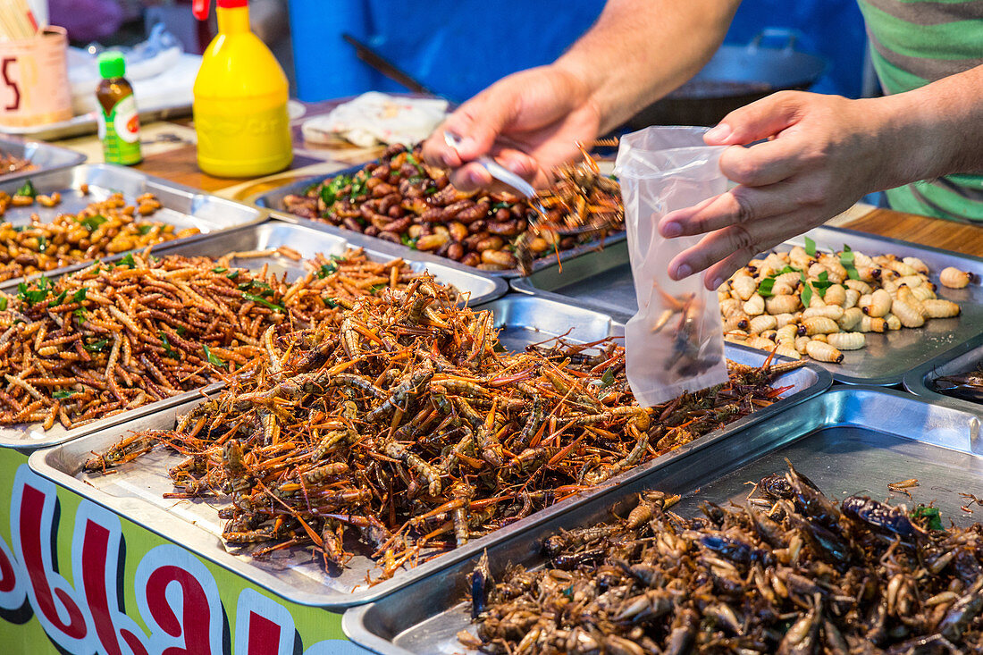 Stand mit gegrillten Insekten (Seidenraupen, Heuschrecken, Grillen, Zikaden), Nachtmarkt, Bang Saphan, Provinz Prachuap Khiri Khan, Thailand