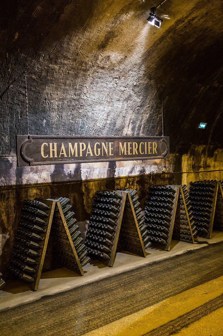 TOUR OF THE MERCIER WINE CELLARS BY TRAIN, EPERNAY, MARNE, GRAND EST REGION, FRANCE