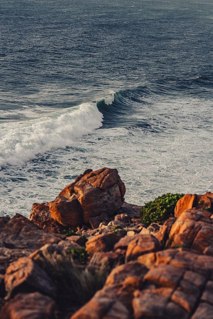 Wilyabrup sea cliffs bei Margaret River, Westaustralien, Australien, Ozeanien