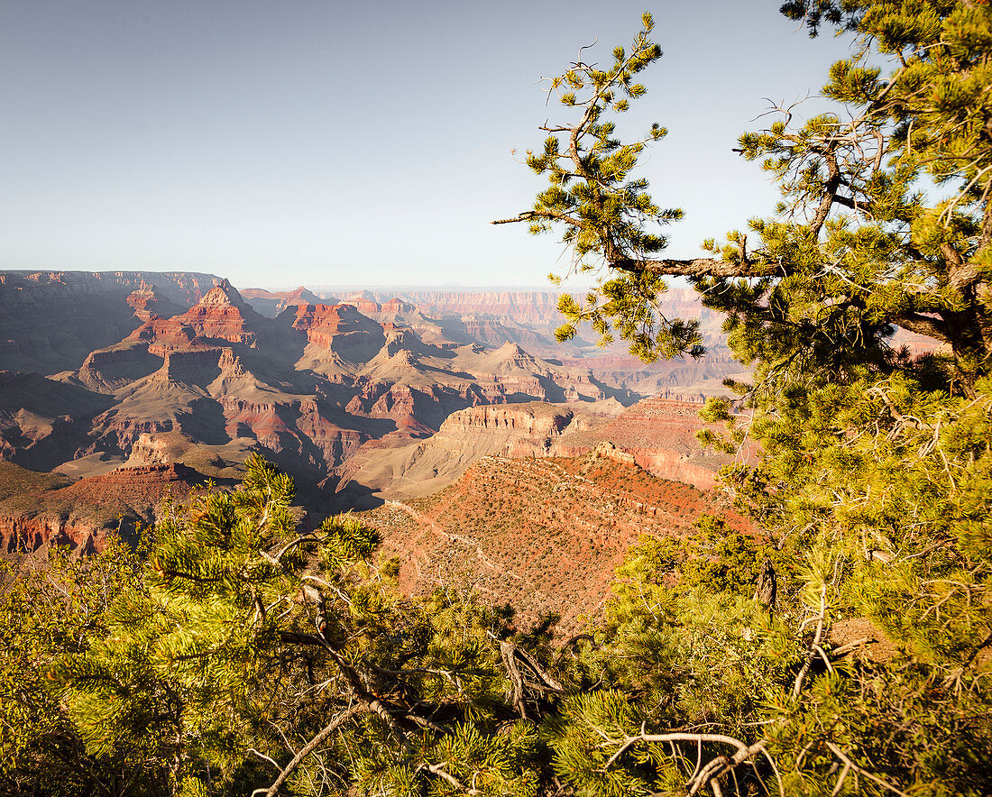 Grand Canyon National Park, South Rim, Arizona, USA