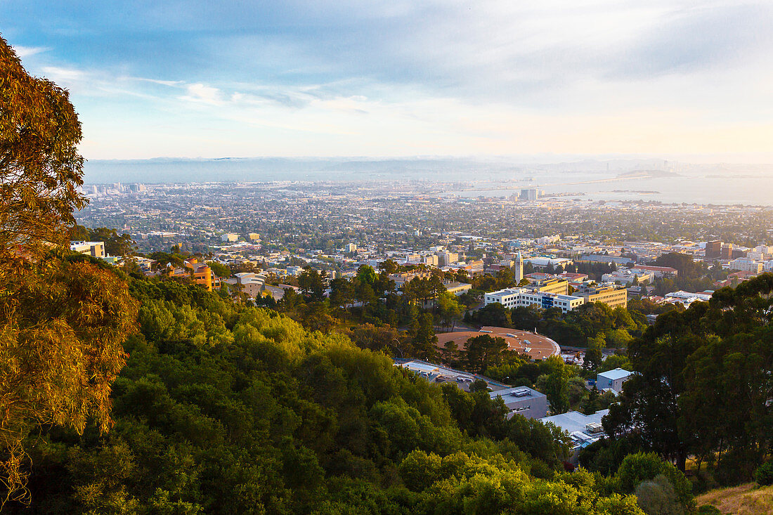 Blick von den Berkeley Hills auf San Francisco, Kalifornien, USA