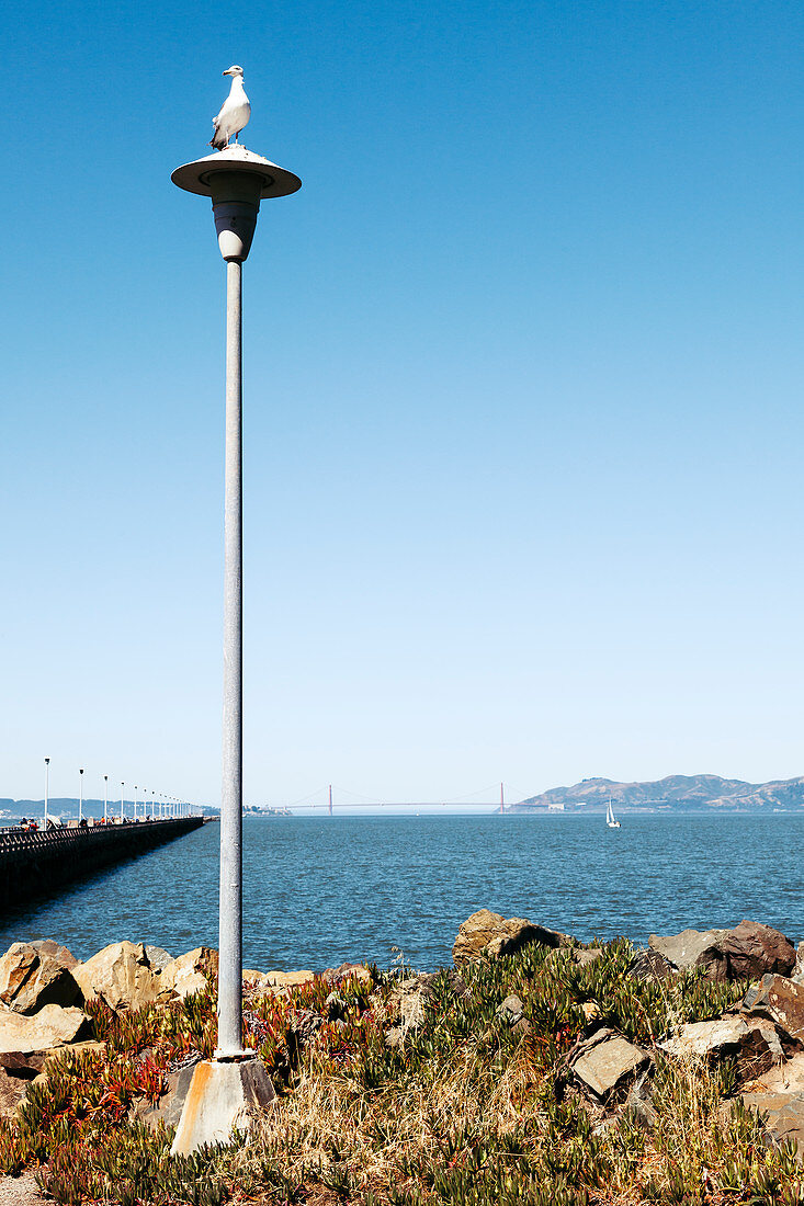 San Francisco mit Blick auf die Golden Gate Bridge, Kalifornien, USA