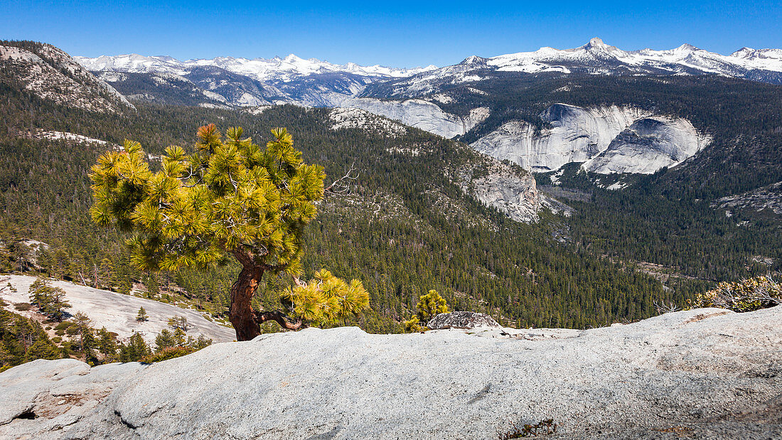 On the Half Dome Trail, view of the Sierra Nevada, Yosemite National Park, California, USA