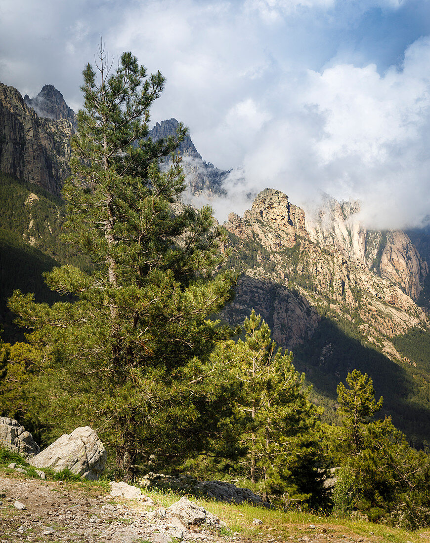 Im Bavella Massiv, Korsika, Frankreich