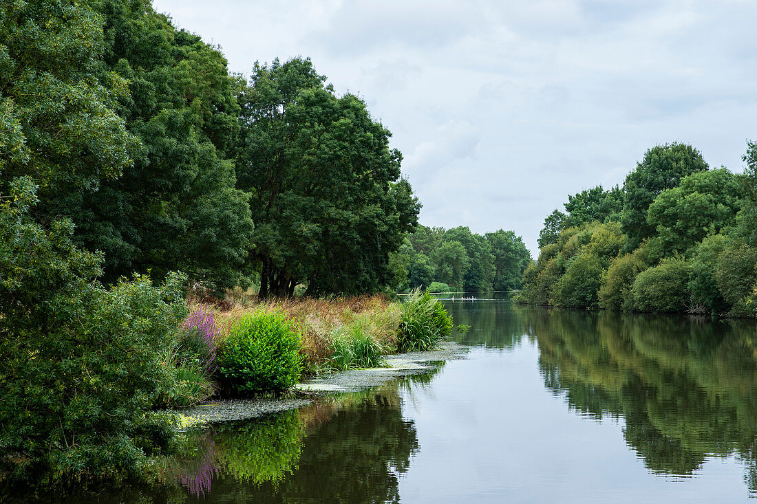 Reflections of the green shore in the calm Vilaine water in summer, Ille-et-Vilaine department, Brittany, France, Europe