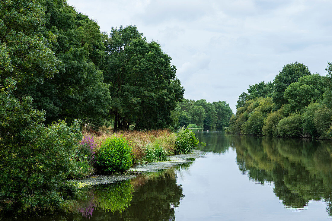Spiegelungen der grünen Ufer im Wasser der ruhigen Vilaine im Sommer, Departement Ille-et-Vilaine, Bretagne, Frankreich, Europa