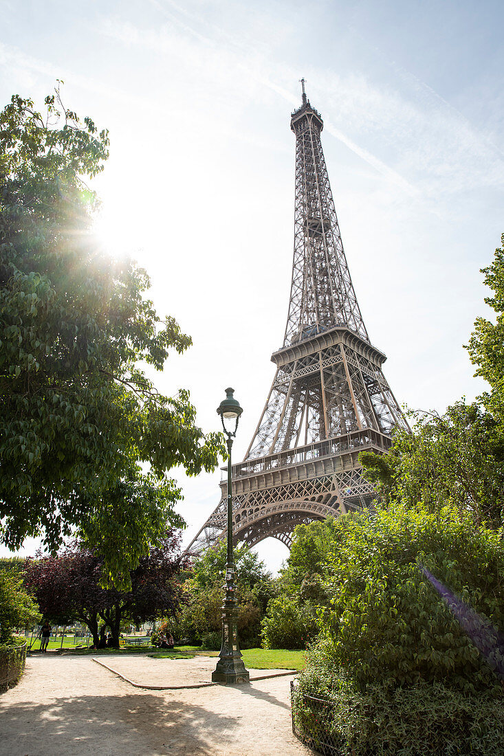 Blick zum Eiffelturm mit Sonnenflare vom Parc du Champs de Mars, Paris, Frankreich, Europa