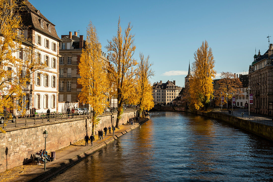 Blick auf Kanal in La Petite France mit herbstlichen Bäumen, Straßburg, Alsace-Champagne-Ardenne-Lorraine, Frankreich, Europa