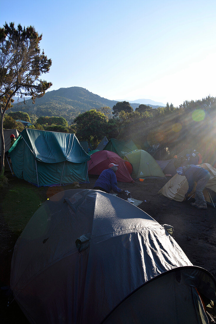 Kilimandscharo, Tansania, Besteigung auf der Machame Route, Zeltlager im Machame Camp, erste Übernachtung, 3000 Meter Höhe, Aufbruch zur nächsten Etappe