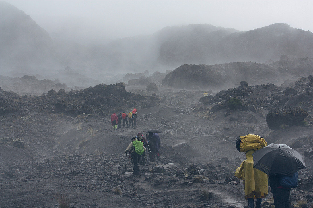 Ascent of Kilimanjaro on the Machame route; fourth stage between Barranco and Karanga Camp; Hikers in the rain