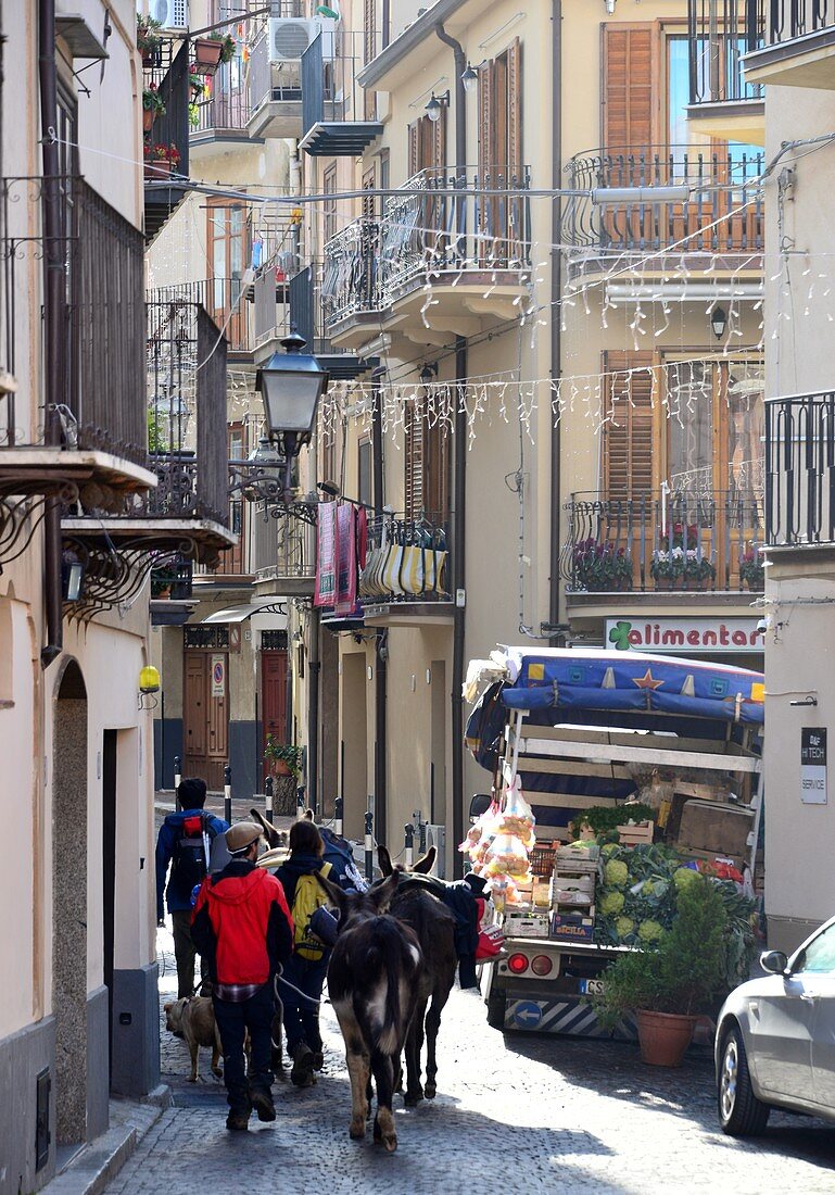 Pilger mit Eseln in den Gassen von Castelbuono in der Medonie bei Cefalu, Nordküste, Sizilien, Italien