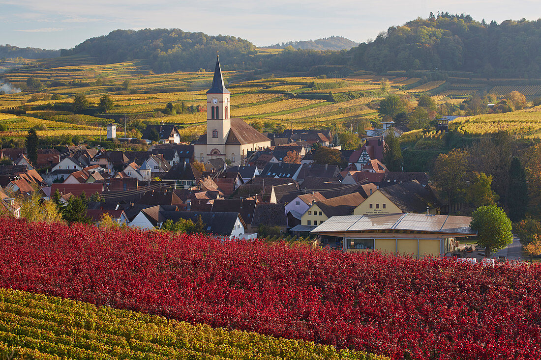 View of Oberrotweil surrounded by vineyards, Kaiserstuhl, Baden-Württemberg, Germany, Europe