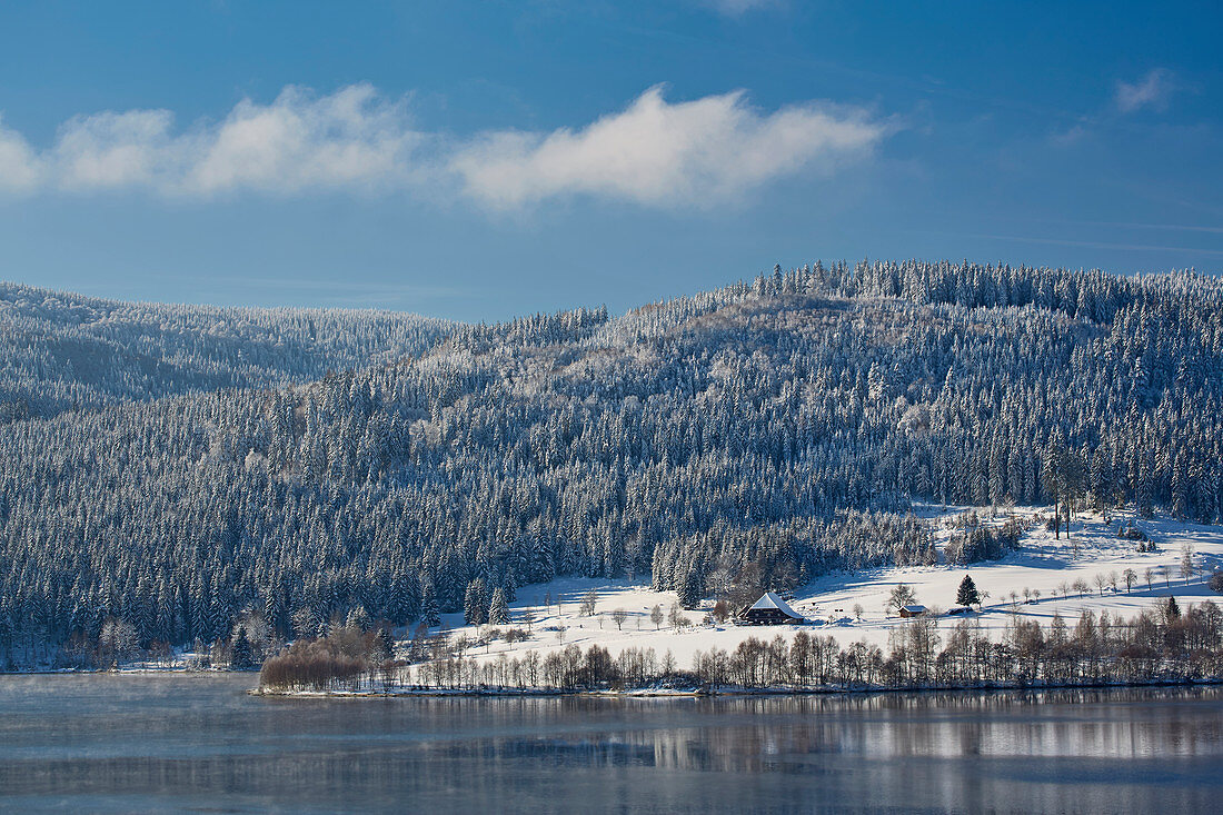 Winter day at Schluchsee, Southern Black Forest, Black Forest, Baden-Wuerttemberg, Germany, Europe