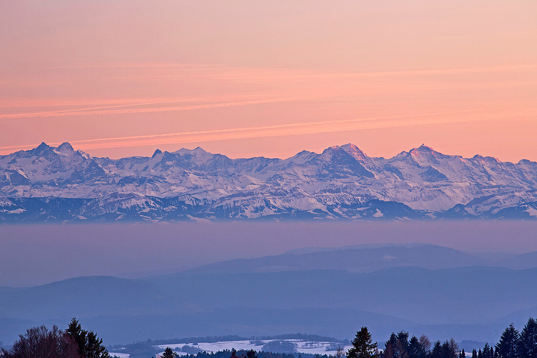 View from H? Chenschwand to the Swiss Alps, Finsterahorn, Eiger, M? Nch, Jungfrau, sunset, winter, southern Black Forest, Black Forest, Baden-W? Rttemberg, Germany, Europe