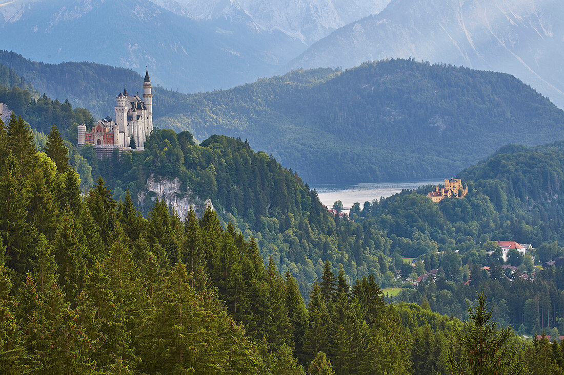 View of Neuschwanstein Castle, Hohenschwangau Castle, Alpsee, Schwangau Municipality, Ammer Mountains, Ostallg? U, Bavaria, Germany, Europe