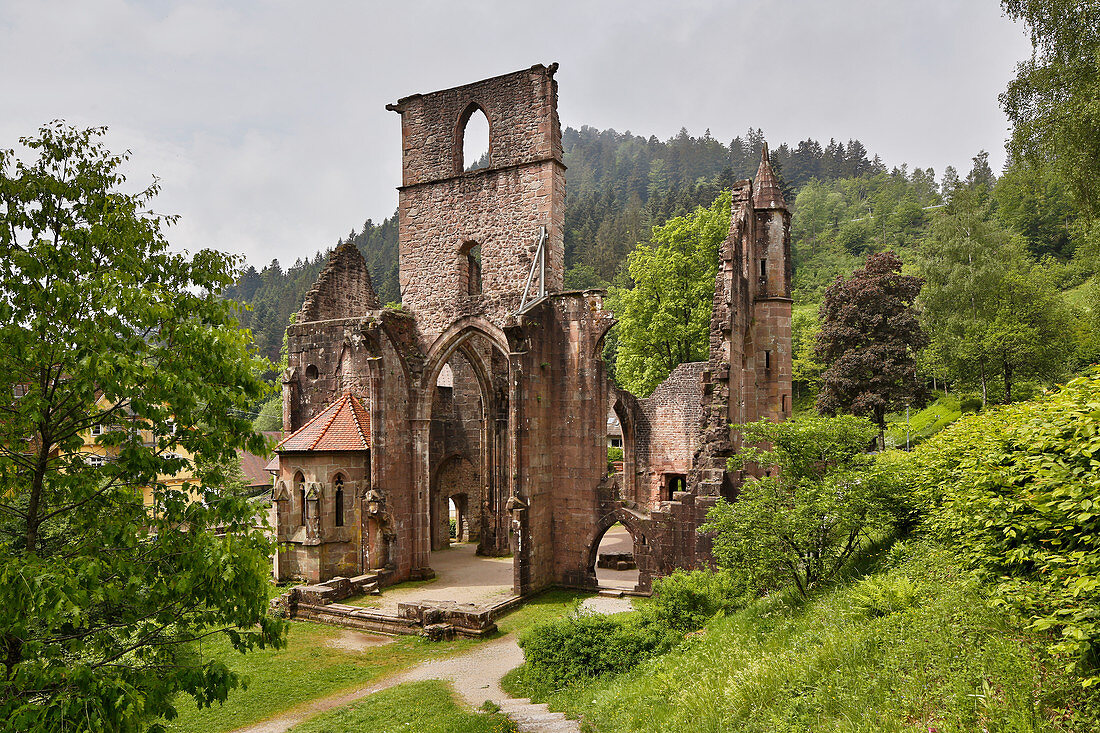 Klosterruine Allerheiligen, Oberes Lierbachtal, Bei Oppenau, Nördlicher Schwarzwald, Baden-Württemberg, Deutschland