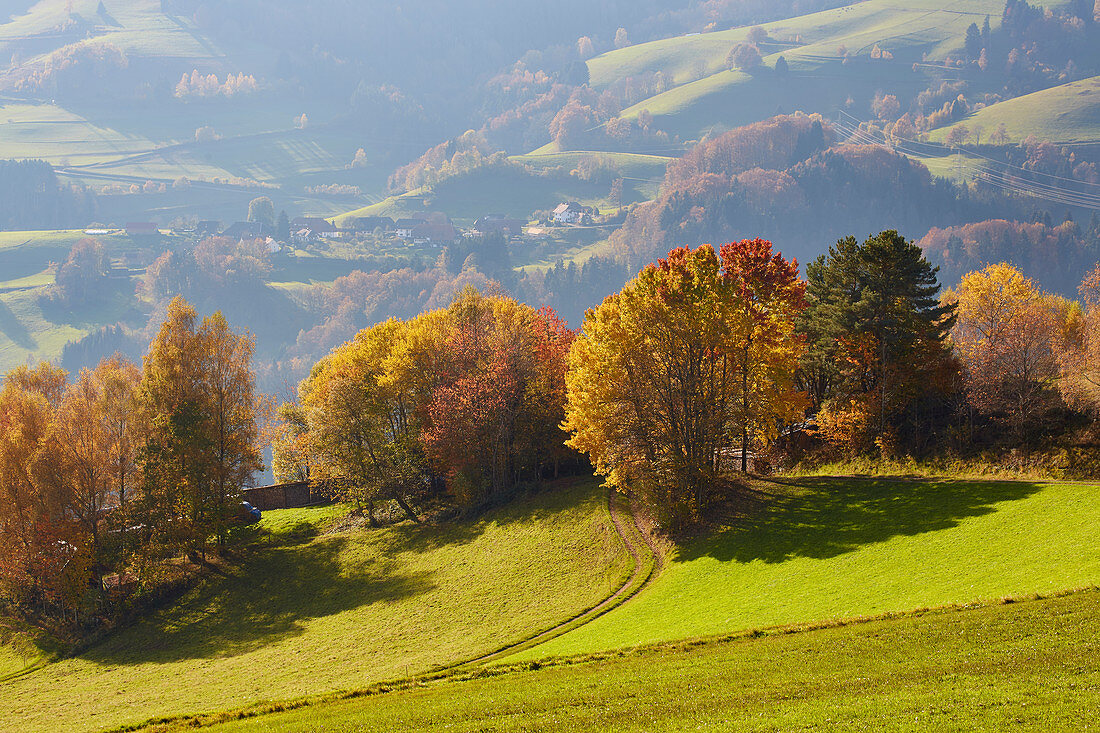 Herbsttag am Holzer Kreuz im Wiesental, Südlicher Schwarzwald, Baden-Württemberg, Deutschland, Europa