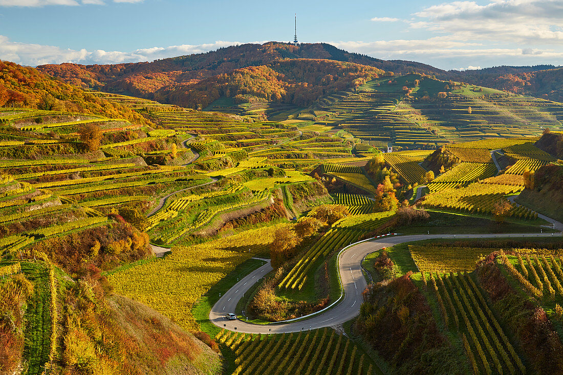 View over vineyards to Oberbergen and Totenkopf, autumn, Kaiserstuhl, Baden-W? Rttemberg, Germany, Europe