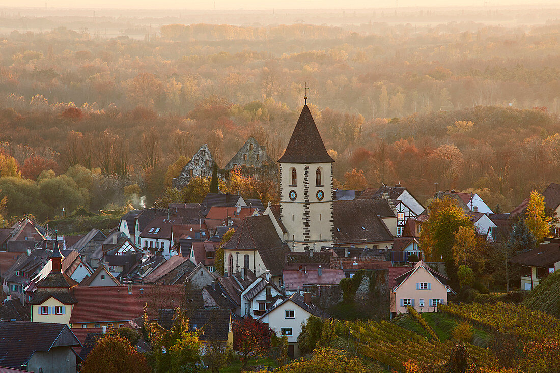 Blick auf Burkheim mit Burg (Neues Schloss, Schwendi) und Kirche, Weinbergen, Kaiserstuhl, Baden-Württemberg, Deutschland, Europa