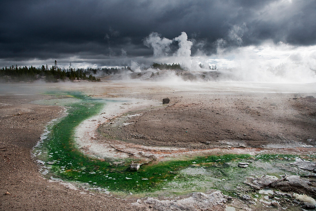 Norris Geyser Basin with approaching storm clouds Yellowstone National Park Wyoming. USA LA006839