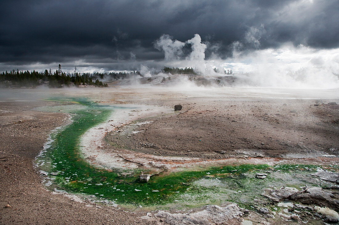 Norris-Geysir-Becken mit herannahenden Gewitterwolken, Yellowstone-Nationalpark, Wyoming, USA LA006839