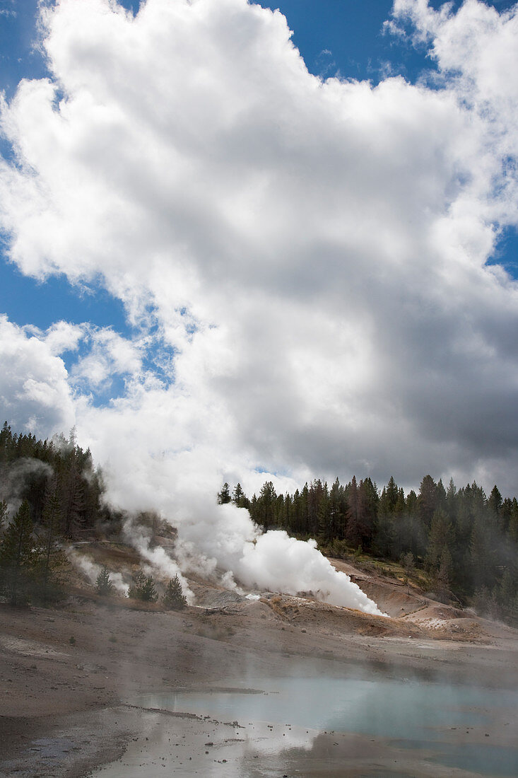 Norris-Geysir-Becken, Yellowstone-Nationalpark, Wyoming, USA LA006812