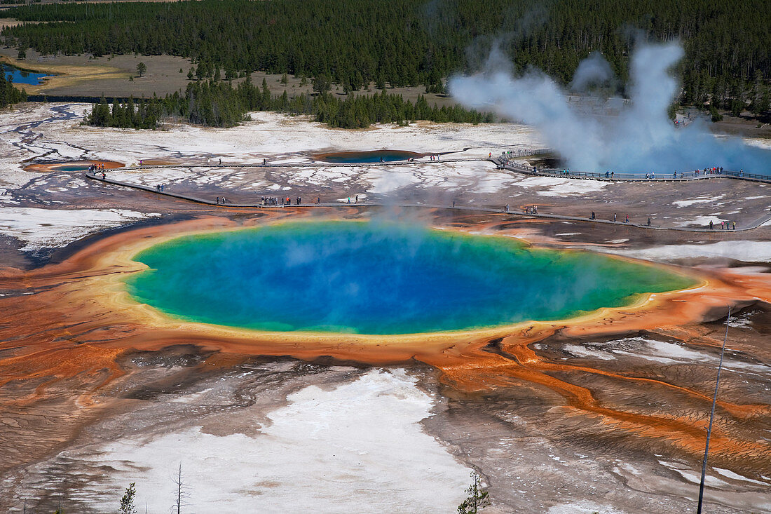 Grand Prismatic Spring Yellowstone National Park Wyoming. USA LA006878 