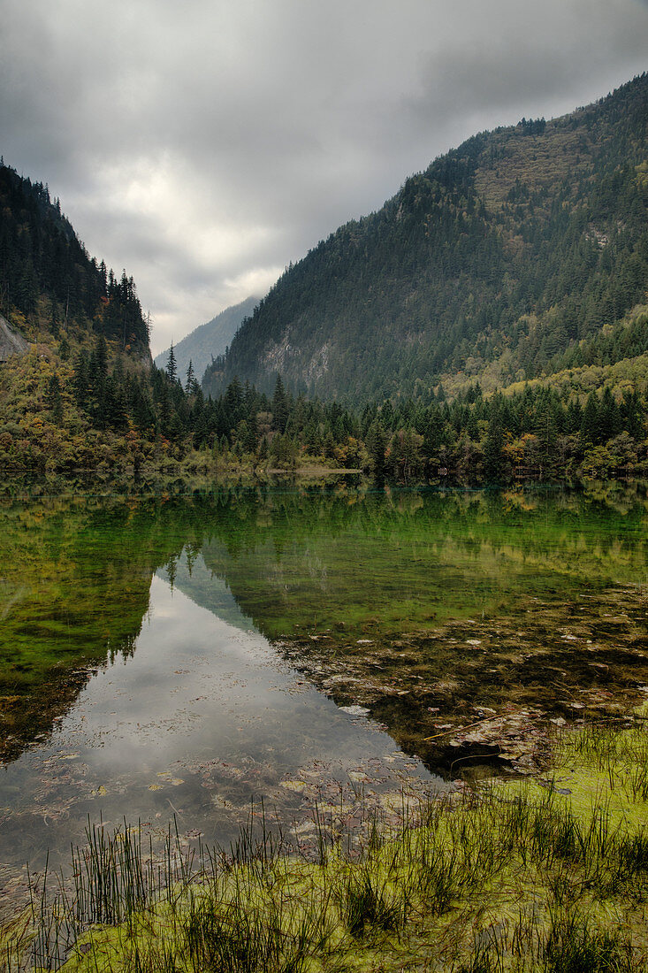 Mehrfarbiger See, Jiuzhaigou-Nationalpark, Sichuan, China LA007678