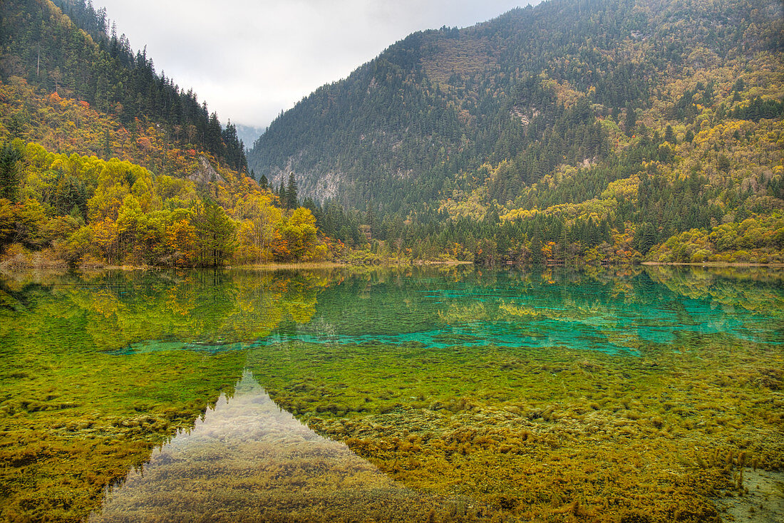 Mehrfarbiger See, Jiuzhaigou-Nationalpark, Sichuan, China LA007622